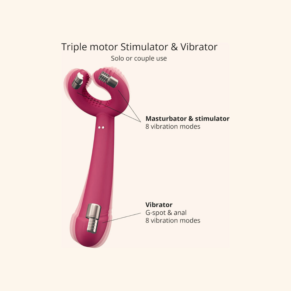 Vibromasseur anal, vaginal et pénien, Please Me - Love to Love