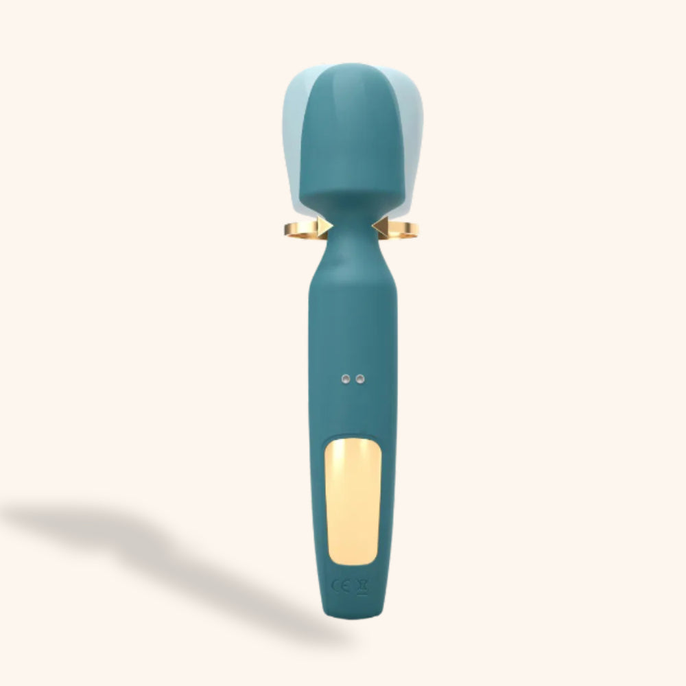 Stimulateur Wand R-evolution