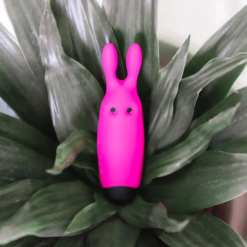 Pocket vibe lapin - Adrien Lastic